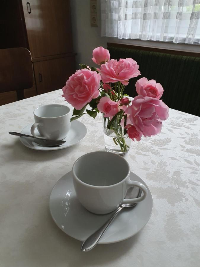 Apartment 11 Bad Ischl Eksteriør billede